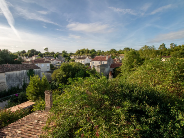 Maison de caractère à Saint-Savinien avec jardin de 800 m² 