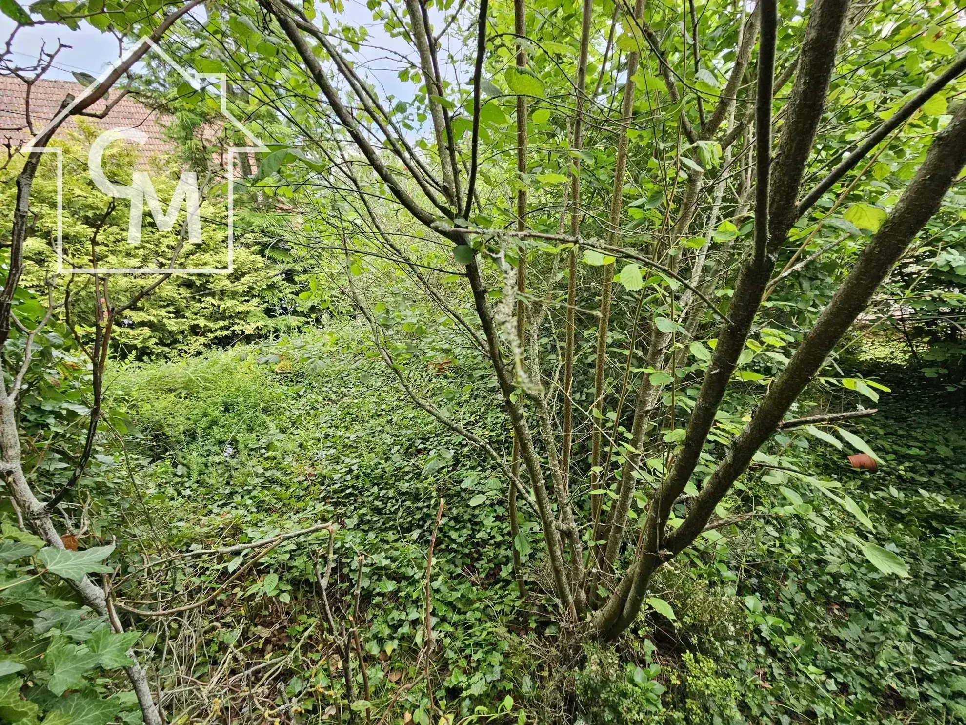 Maison 5 pièces à vendre à Beaulieu - 153 m² 