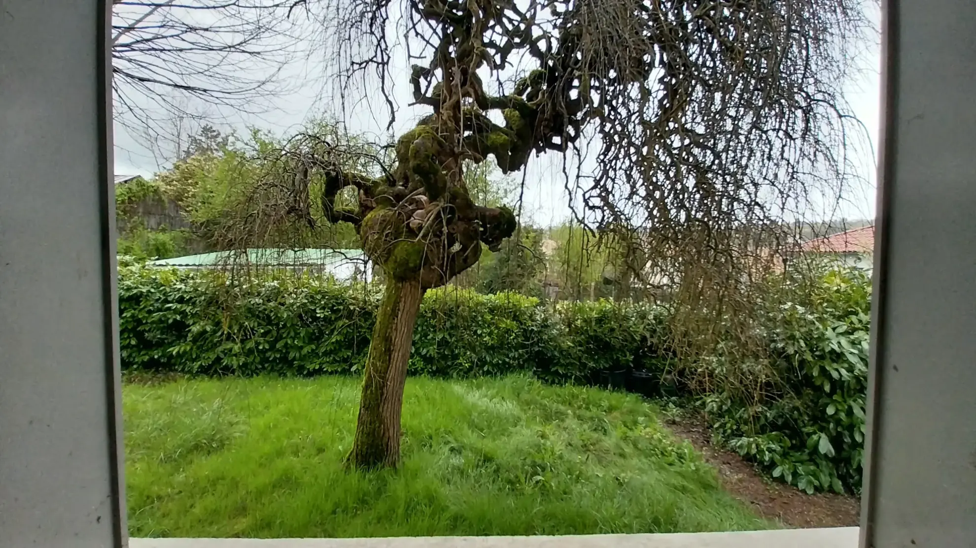 Maison à rénover avec 4 chambres à Ribérac - 159 000 EUR 