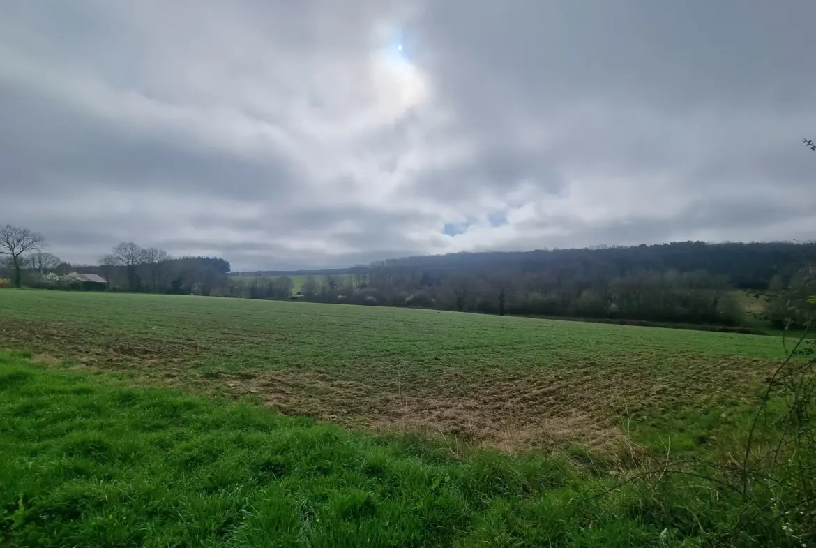 Charmante maison en pierre à restaurer près de Saint-Léonard-des-Bois 