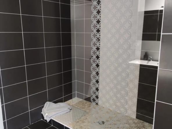 Maison Bourgeoise Rénovée avec Parc à Vierzon 