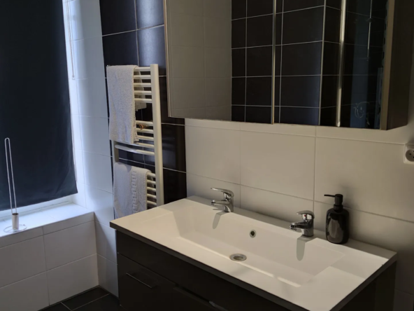 Maison Bourgeoise Rénovée avec Parc à Vierzon 