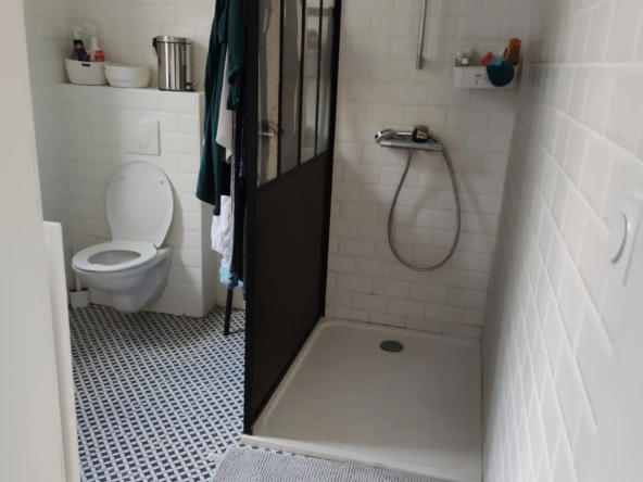 Maison Bourgeoise Rénovée avec Parc à Vierzon 