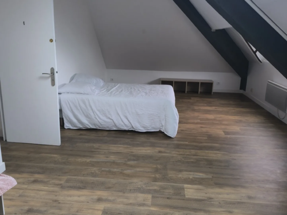 Maison Bourgeoise Rénovée avec Parc à Vierzon 