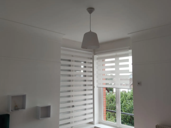 Maison Bourgeoise Rénovée avec Parc à Vierzon 
