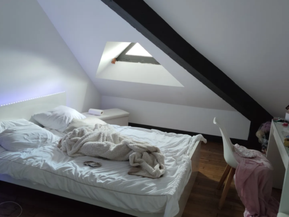 Maison Bourgeoise Rénovée avec Parc à Vierzon 