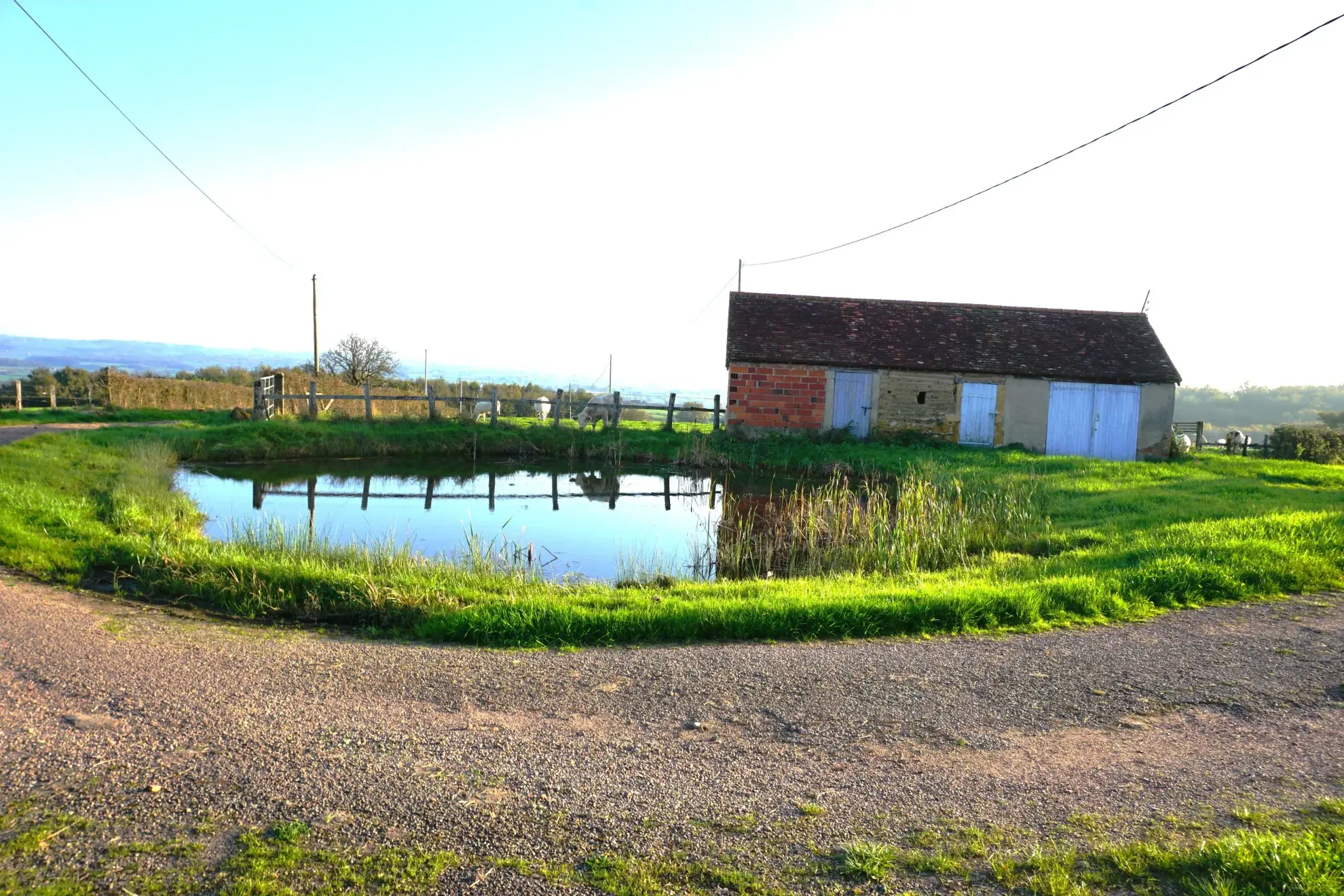 À vendre : Belle maison Brionnaise à Brionnais 