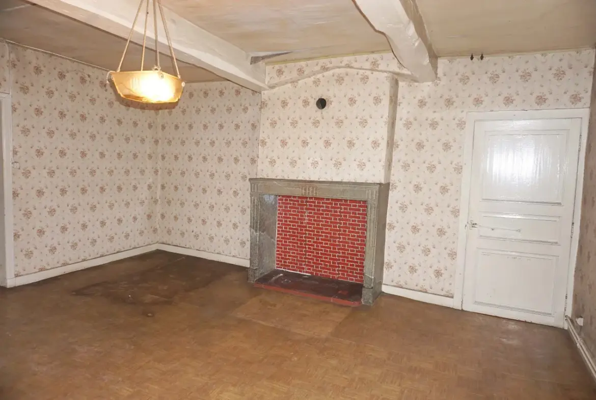 À vendre : Belle maison Brionnaise à Brionnais 