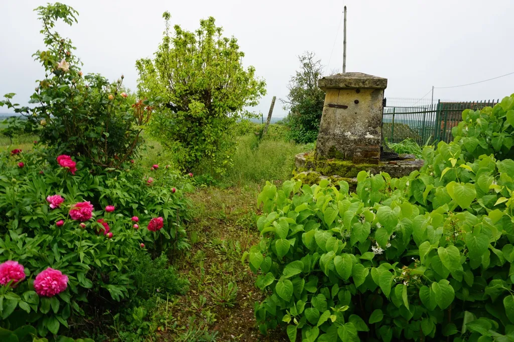 À vendre : Belle maison Brionnaise à Brionnais 