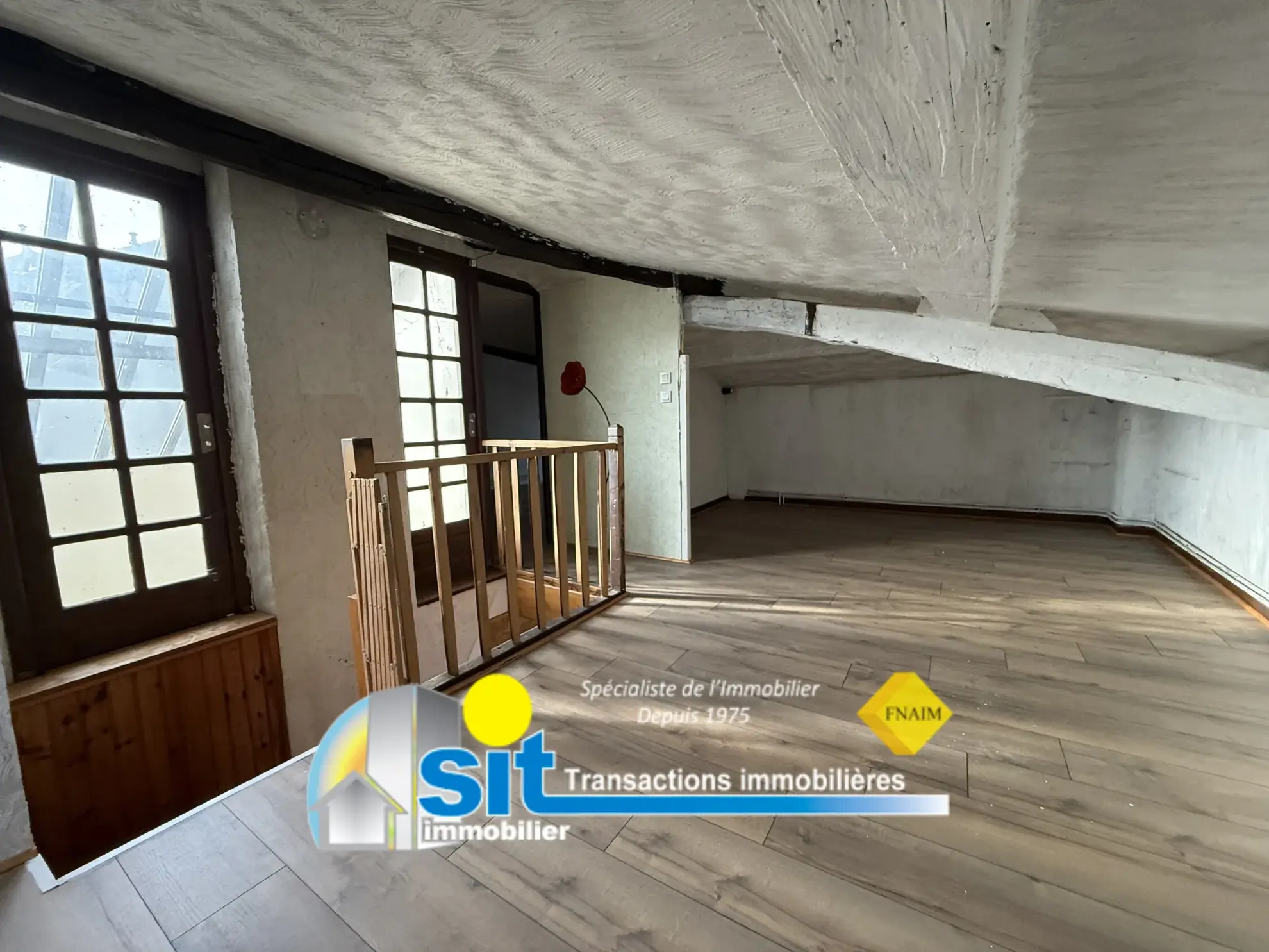Appartement en duplex au centre de Vienne - 111 m² 