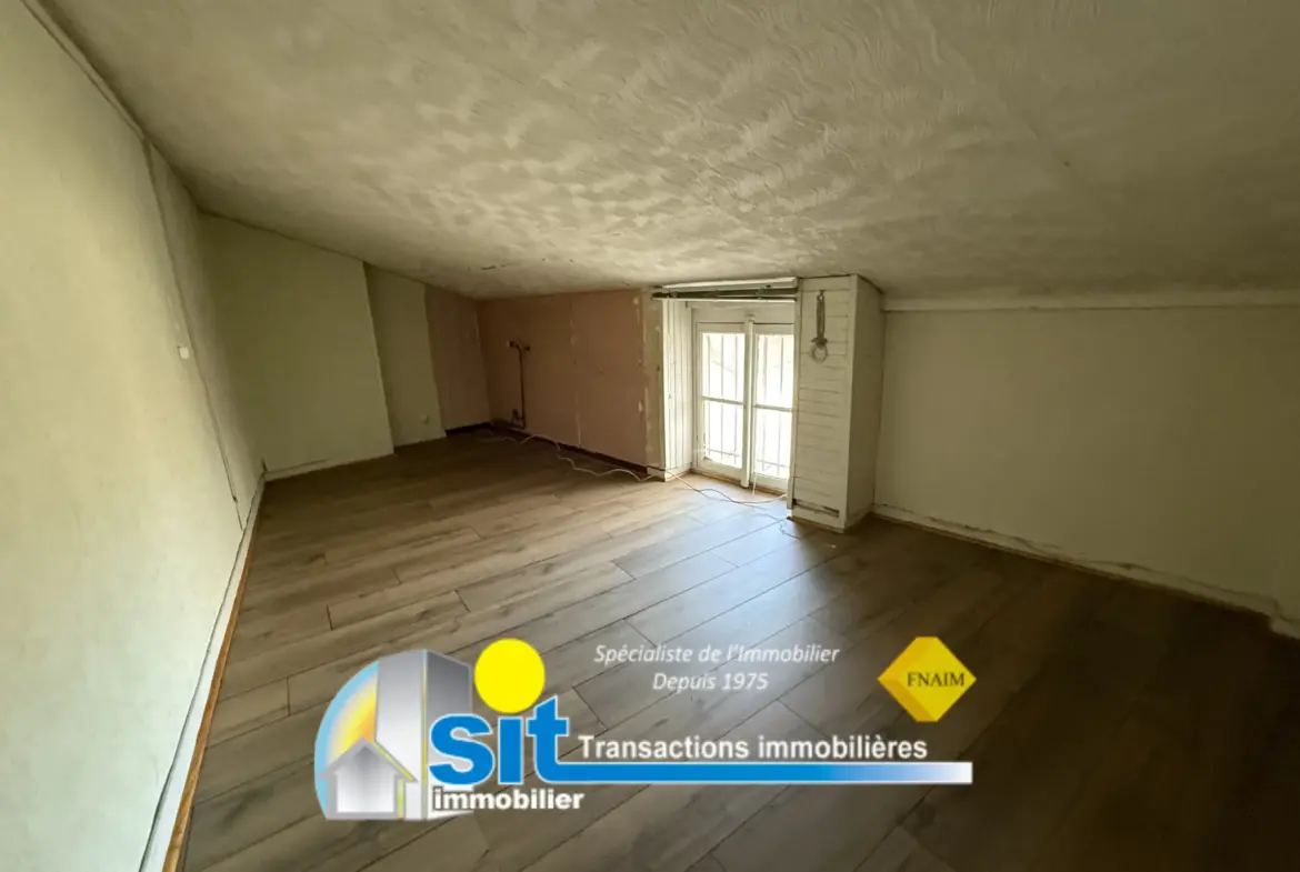 Appartement en duplex au centre de Vienne - 111 m² 