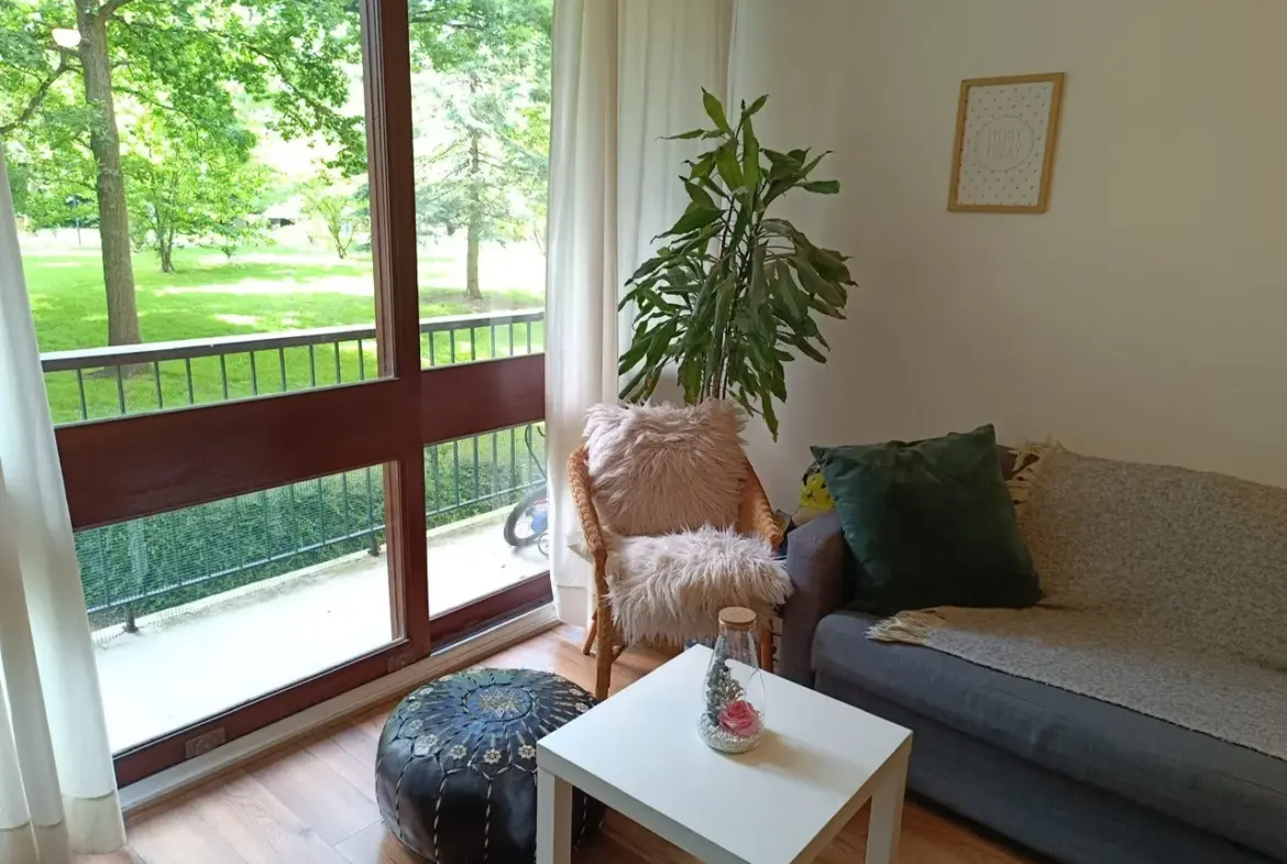 Bel appartement avec balcon et piscine à Fontenay le Fleury 