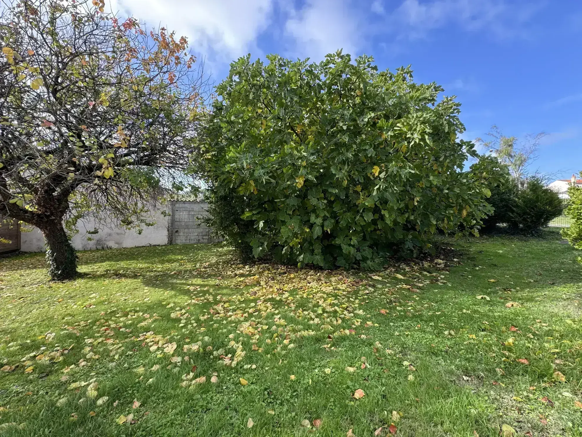 Maison de 63 m² à rénover à Meschers-sur-Gironde 