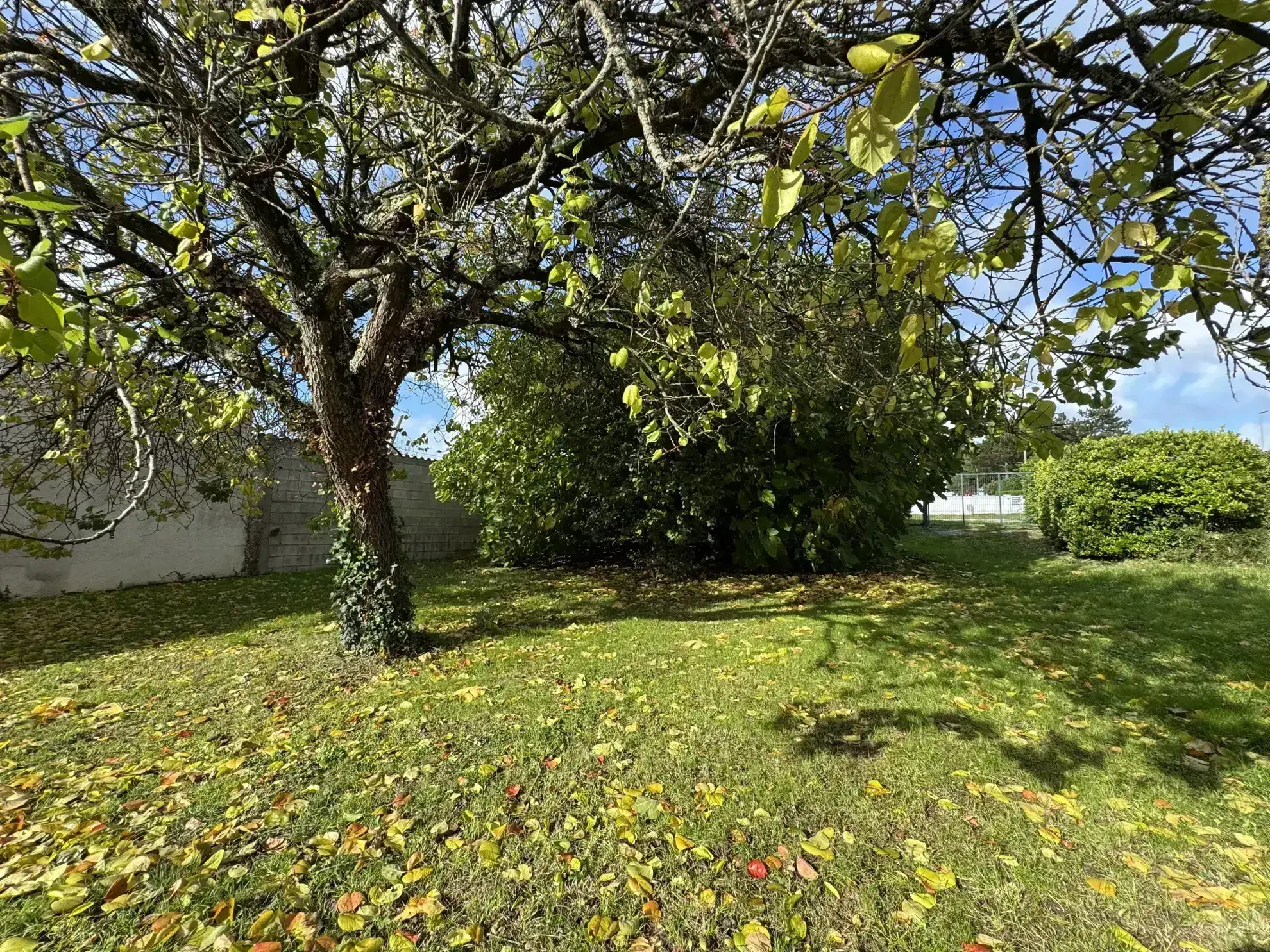 Maison de 63 m² à rénover à Meschers-sur-Gironde 
