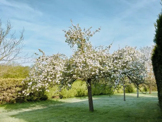 Charmant pavillon avec 6000 m² de terrain à Orbec 