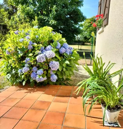 Charmant pavillon avec 6000 m² de terrain à Orbec 