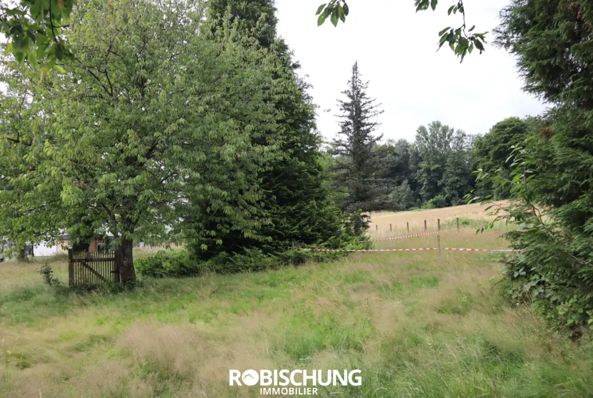Terrain à vendre sur les hauteurs à Hirsingue 
