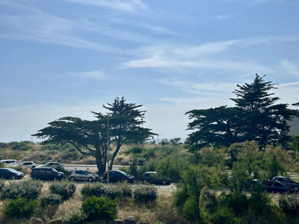 À vendre : Studio avec terrasse vue mer à St Jean de Monts 