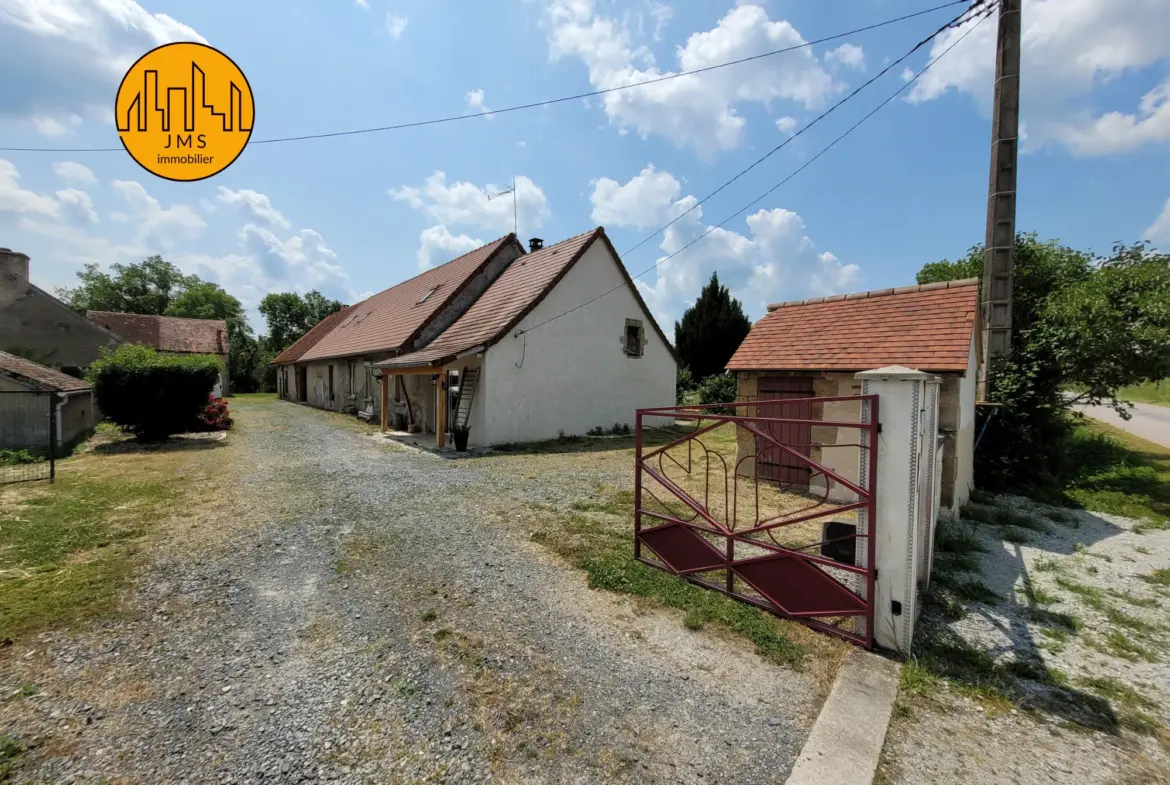 Charmante longère rénovée à vendre à Tronget 