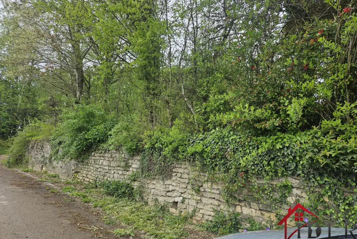 Maison de campagne à vendre, 115 m² sur terrain de 1066 m² près de Bourbonnes-les-Bains 