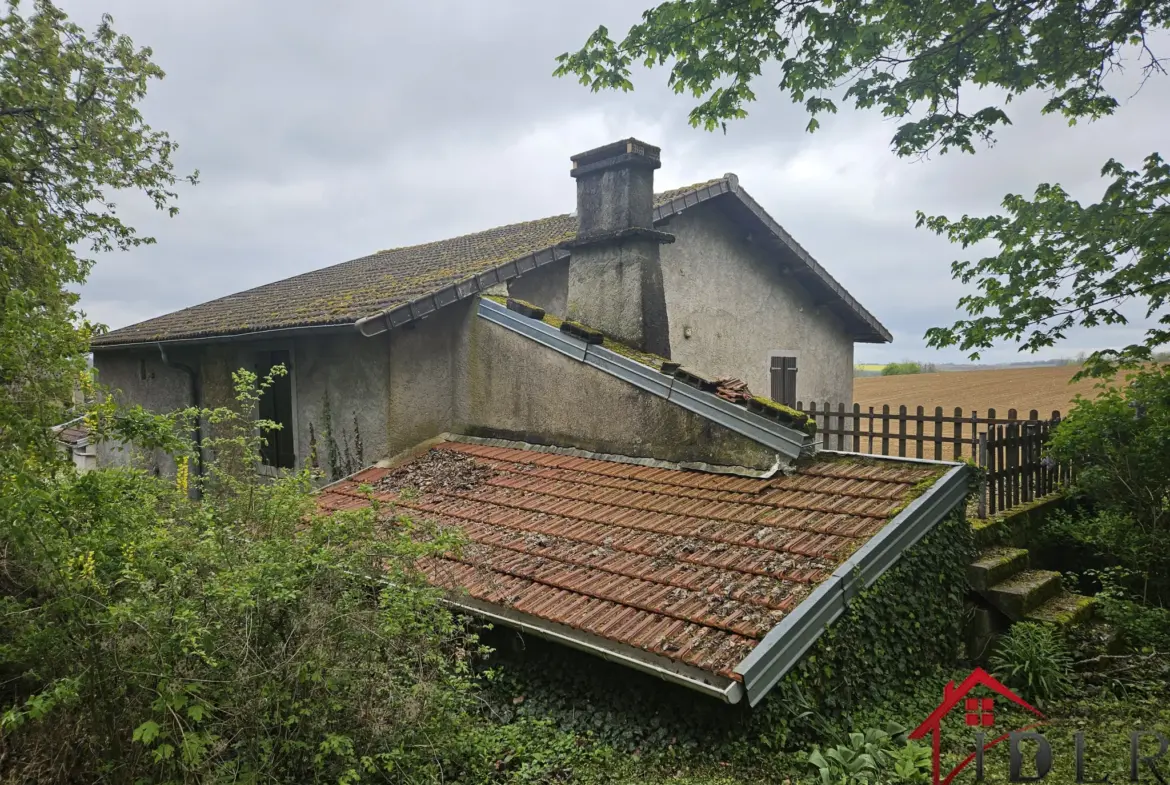 Maison de campagne à vendre, 115 m² sur terrain de 1066 m² près de Bourbonnes-les-Bains 