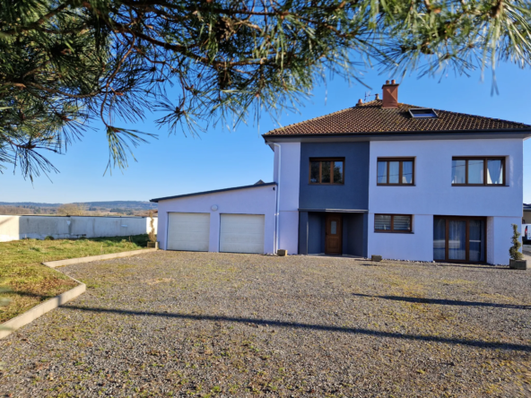 Villa rénovée de 1965 à Epinal avec 2 appartements