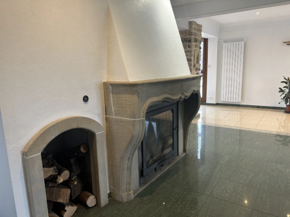 Villa rénovée de 1965 à Epinal avec 2 appartements 