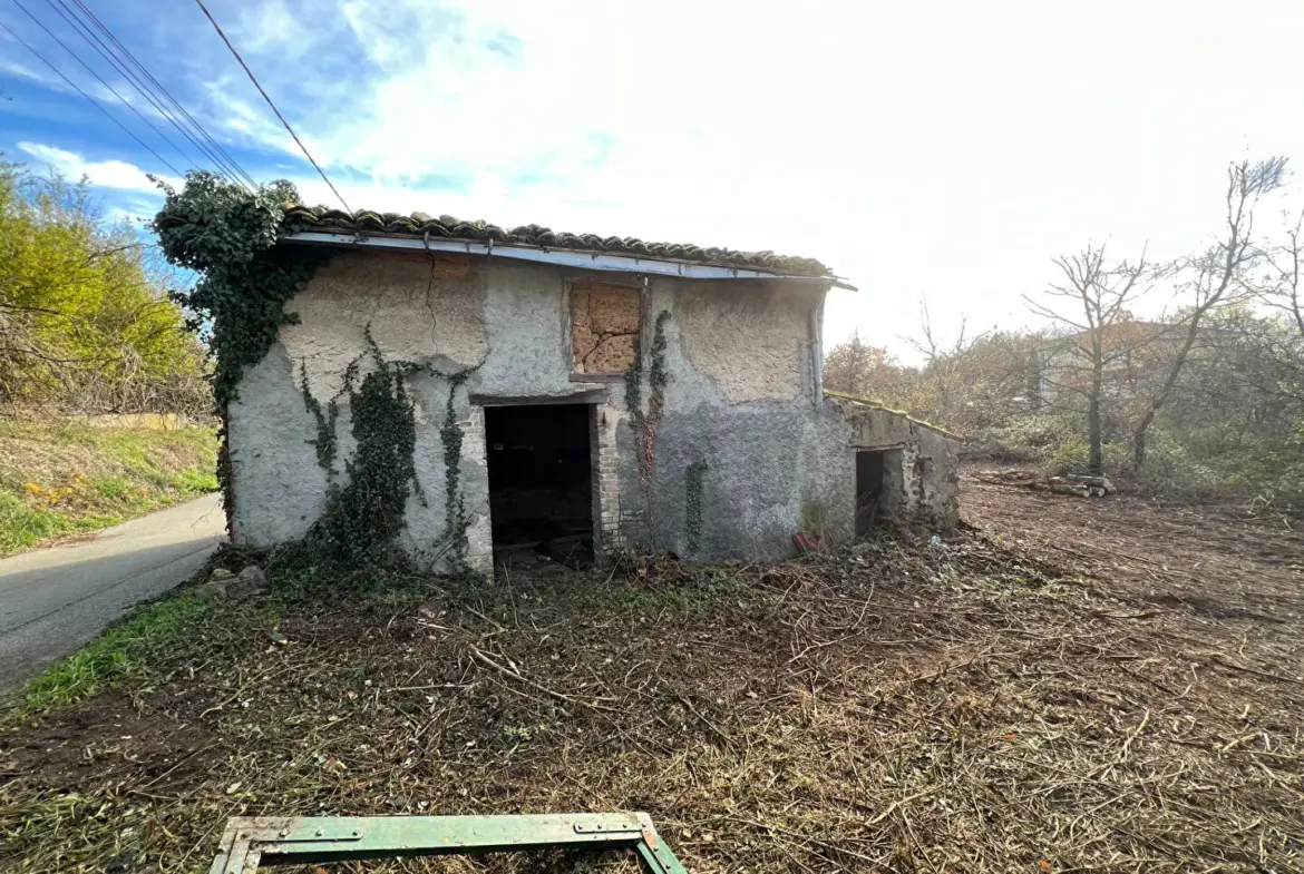 Maison à réhabiliter à Saint-Clair-du-Rhône - 99 000 € 