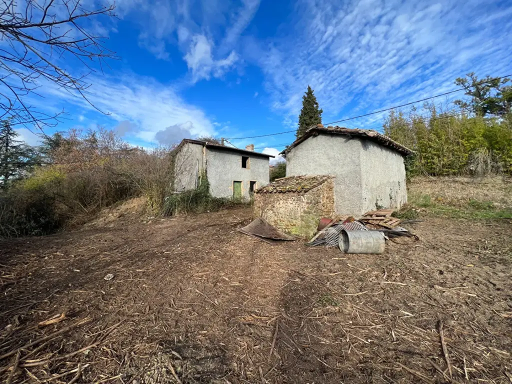 Maison à réhabiliter à Saint-Clair-du-Rhône - 99 000 €
