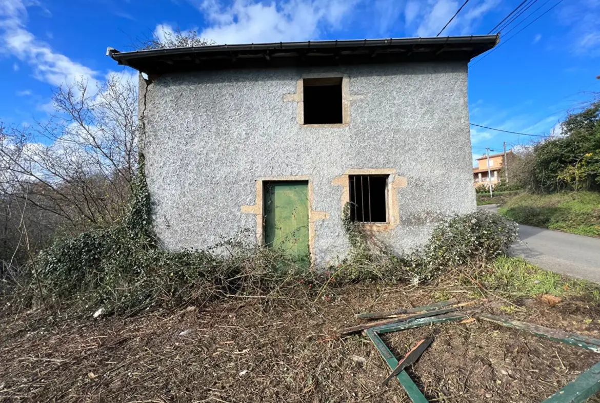 Maison à réhabiliter à Saint-Clair-du-Rhône - 99 000 € 