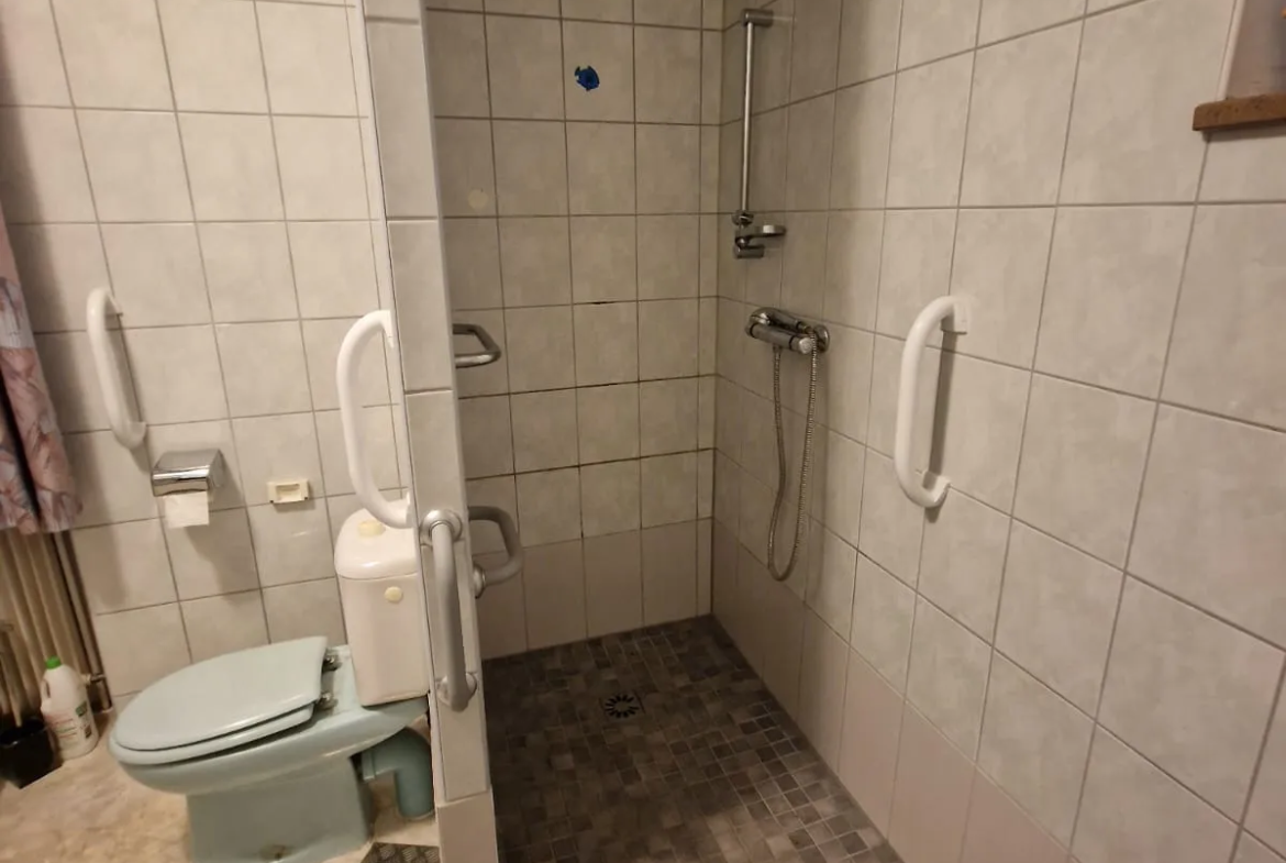 Maison à vendre à Altkirch avec beau potentiel 