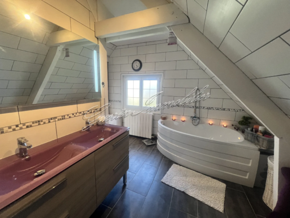 Maison familiale à vendre à Varennes-Vauzelles - 195 m² 