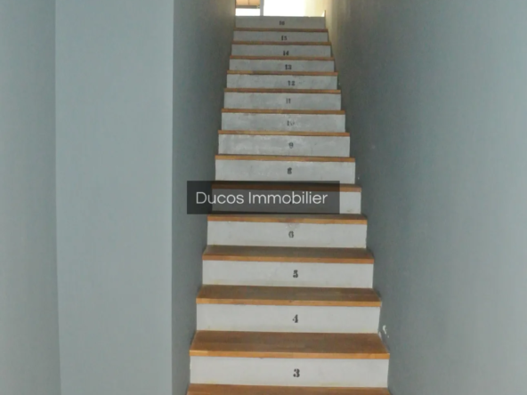 Maison pleine de charme au centre de Marmande avec garage et terrasse 