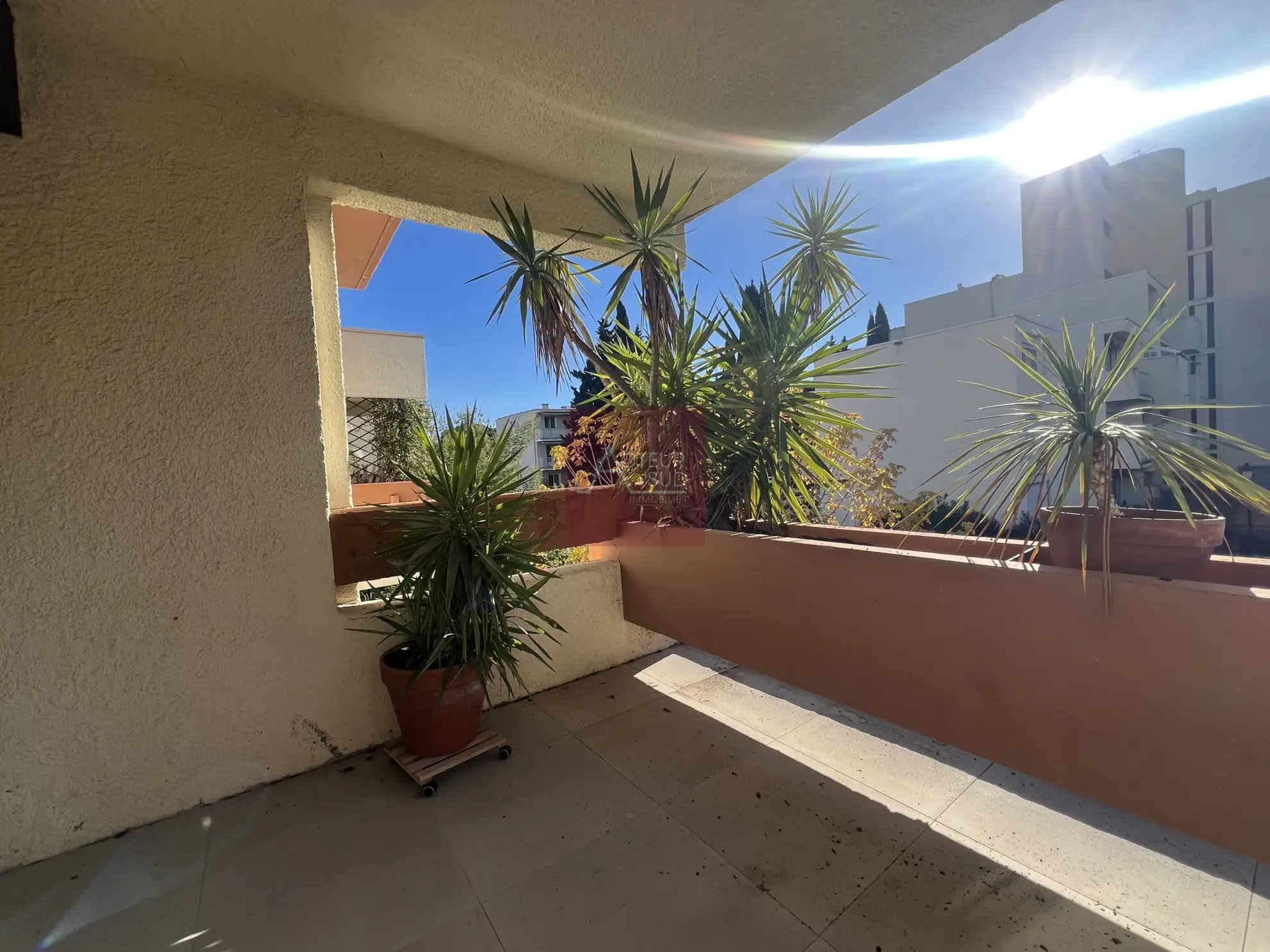 Appartement 4 pièces à vendre à Montpellier Arceaux - Agriculture 