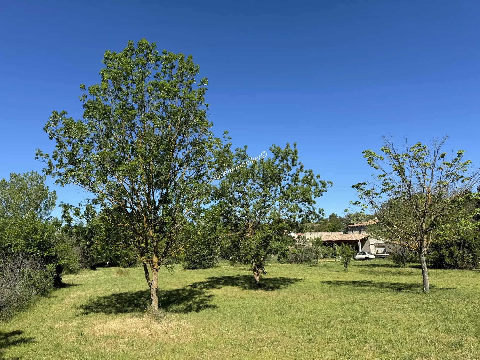 Maison à Limoux avec jardin, garage et piscine 