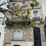 Immeuble de rapport à Marmande, sans travaux !