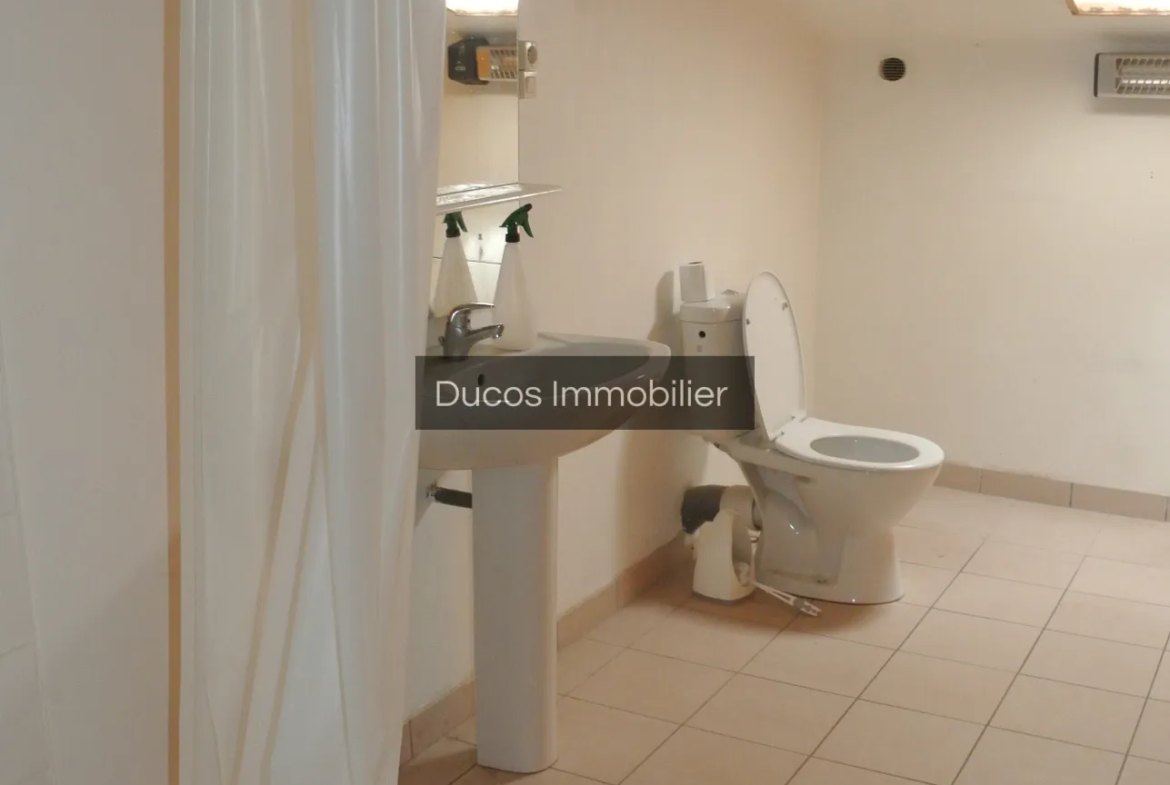 Maison à vendre sur les hauteurs de Marmande avec terrain de 1,45 hectares 
