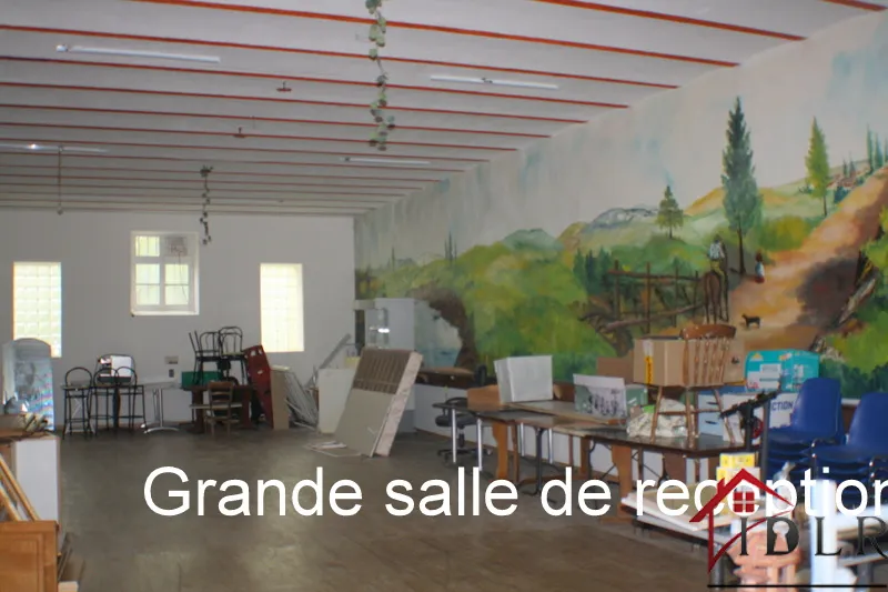 Vente Maison avec Fonds Bar Restaurant à Chaudenay 