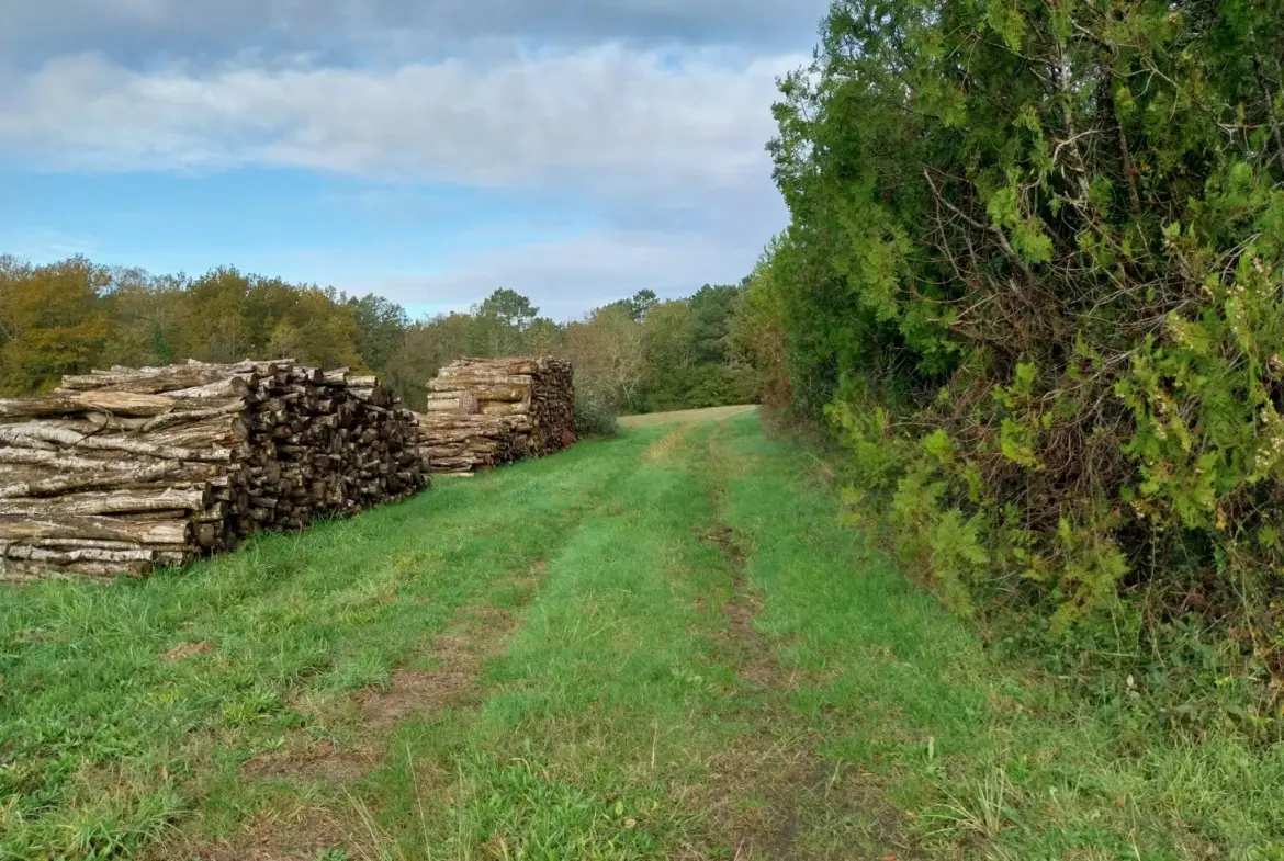 Ensemble immobilier au calme de la campagne sur 13 hectares de terrain 