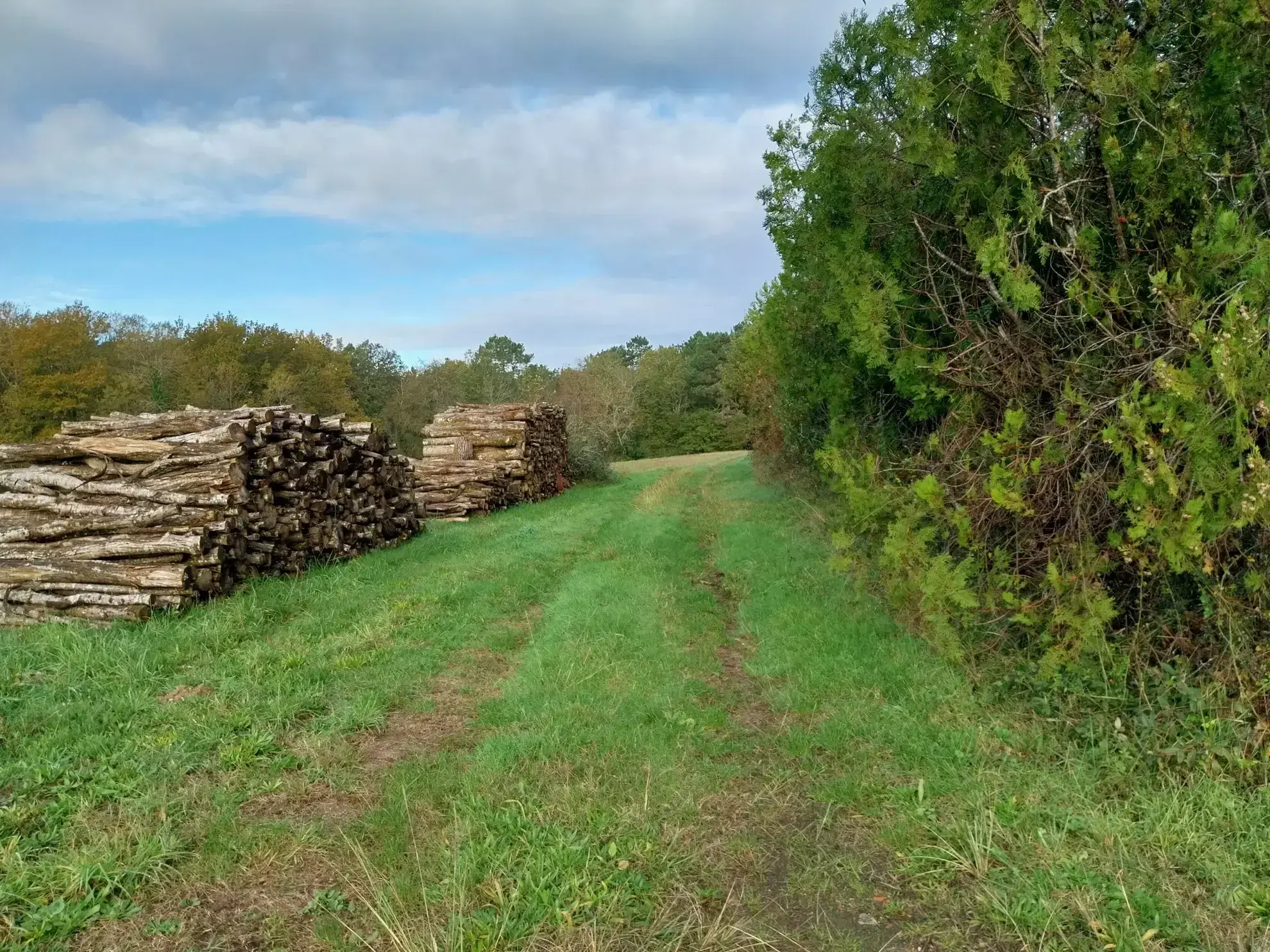 Ensemble immobilier au calme de la campagne sur 13 hectares de terrain 