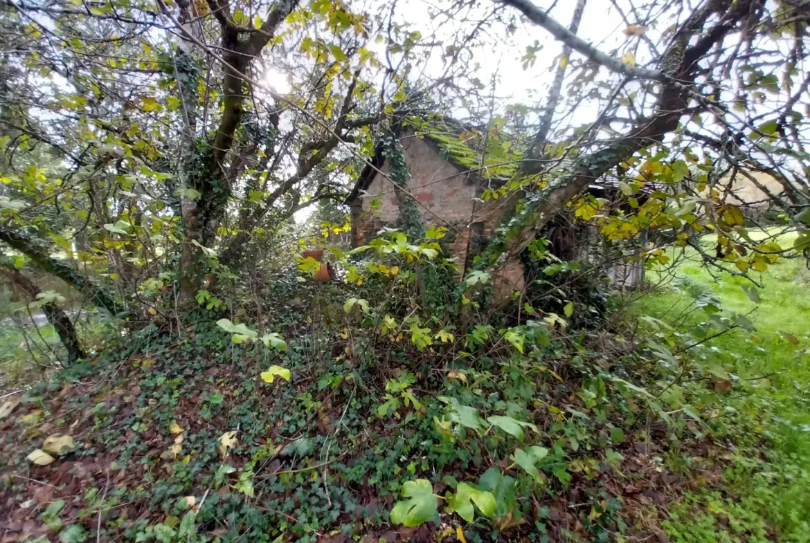Ensemble immobilier au calme de la campagne sur 13 hectares de terrain 