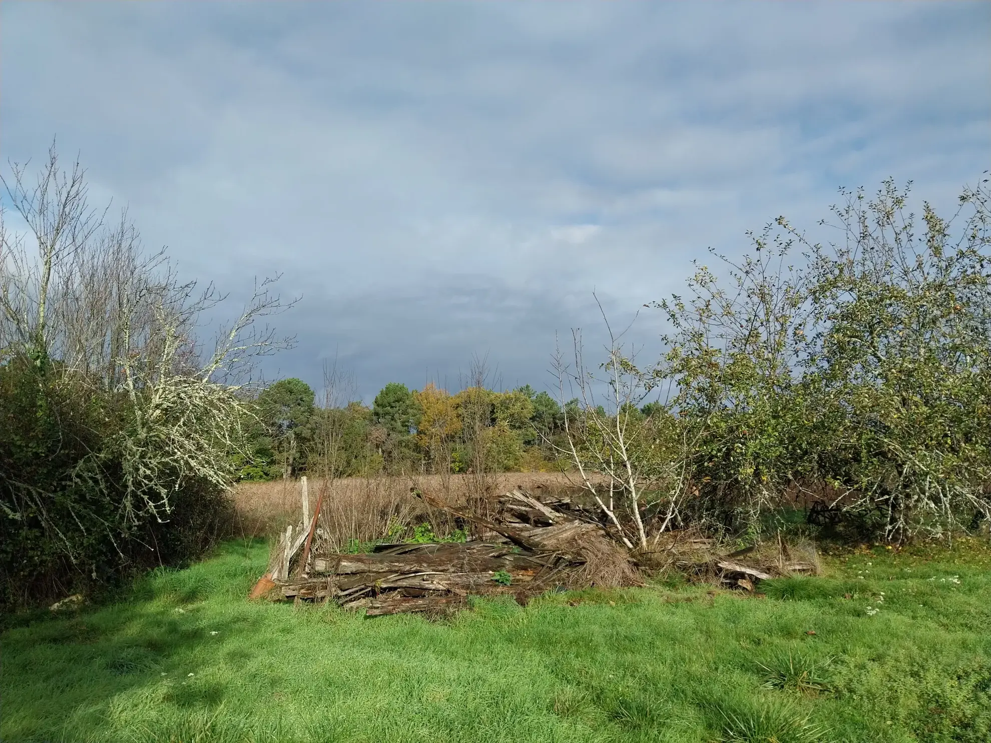 Ensemble immobilier au calme de la campagne sur 13 hectares de terrain 