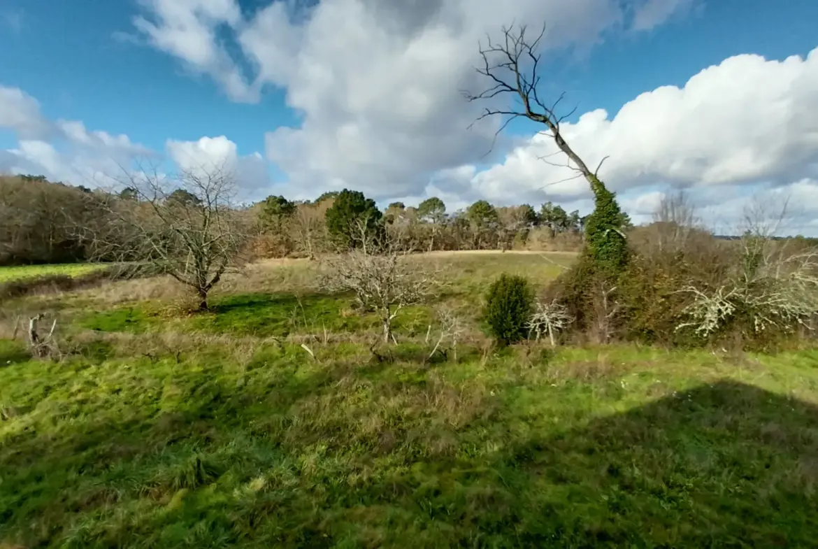 Ensemble immobilier au calme de la campagne sur 13 hectares de terrain 