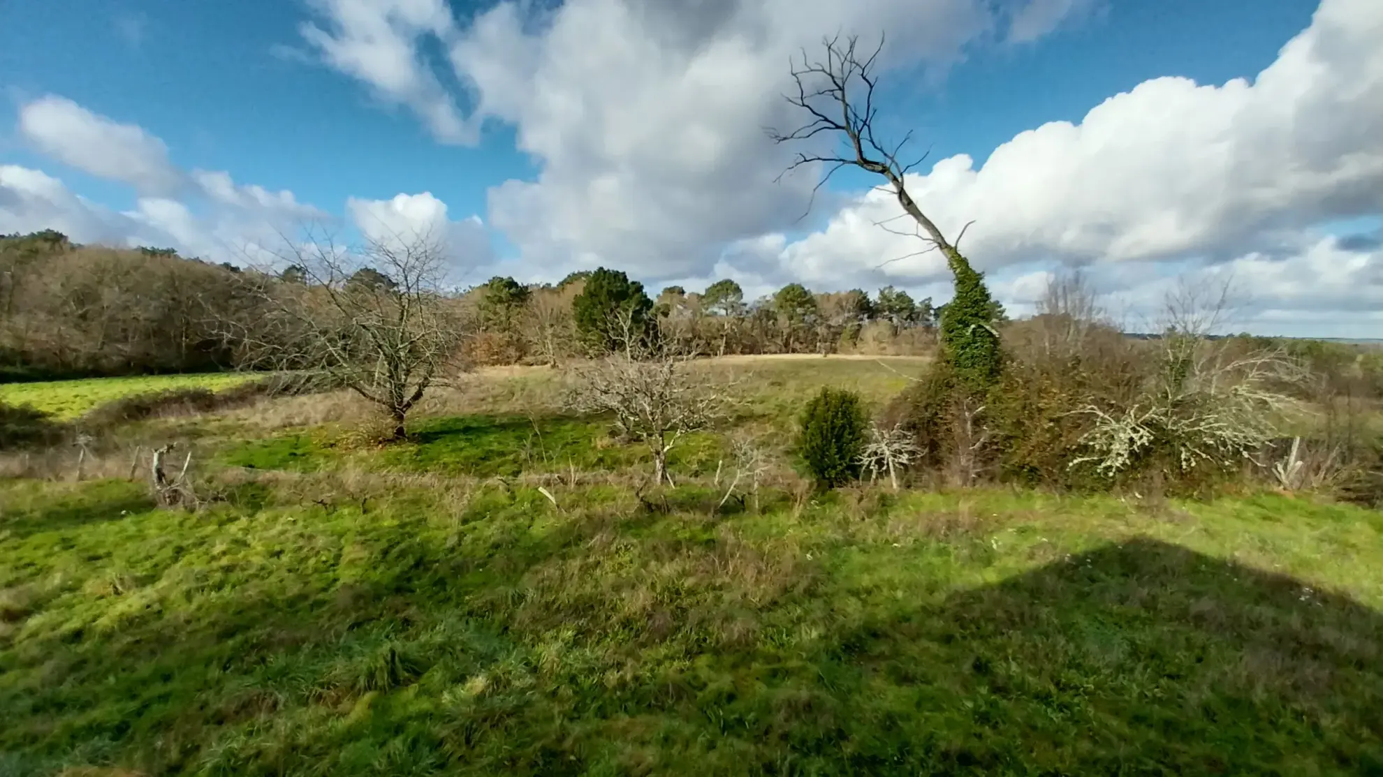Ensemble immobilier au calme de la campagne sur 13 hectares de terrain 