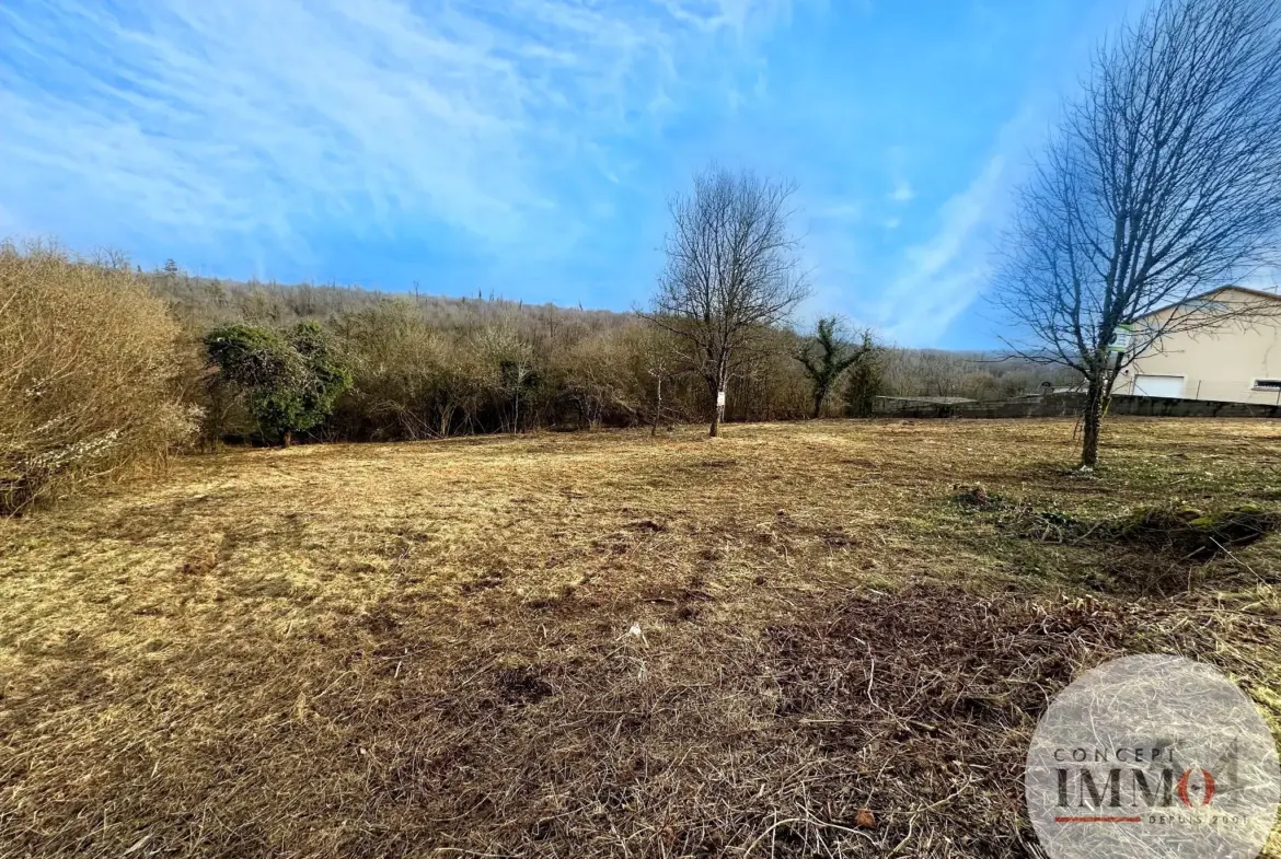 Terrain constructible à Liverdun - 2723 m² avec vue sur la forêt 