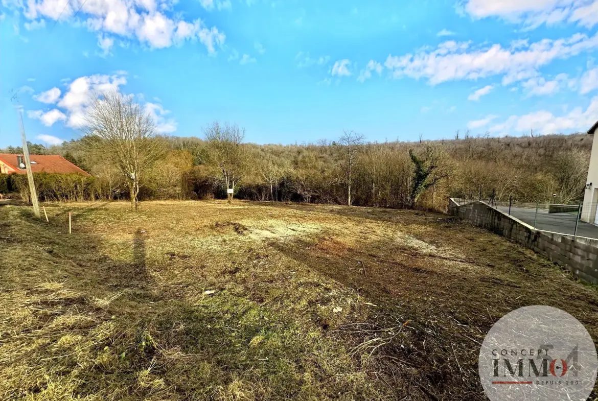 Terrain constructible à Liverdun - 2723 m² avec vue sur la forêt 