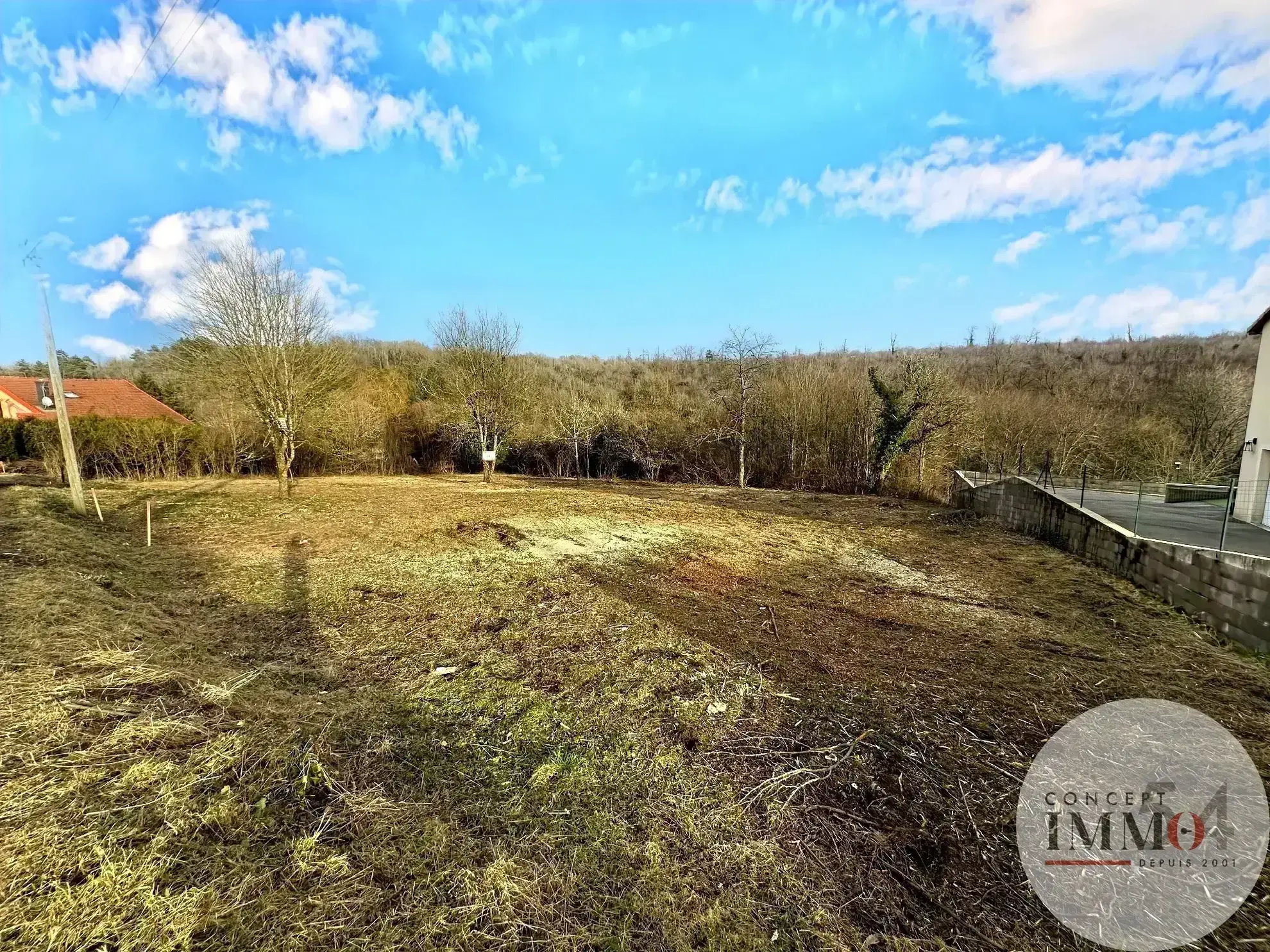 Terrain constructible à Liverdun - 2723 m² avec vue sur la forêt 