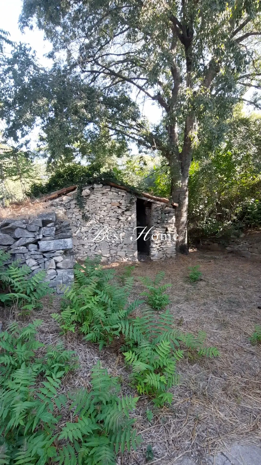 À vendre : Appartement T3 avec Terrasse et Jardin à Nîmes 