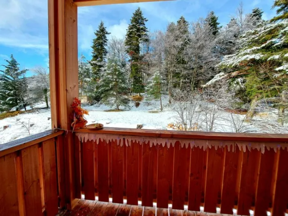 Vente d'un appartement 2 pièces en duplex à Thorenc 