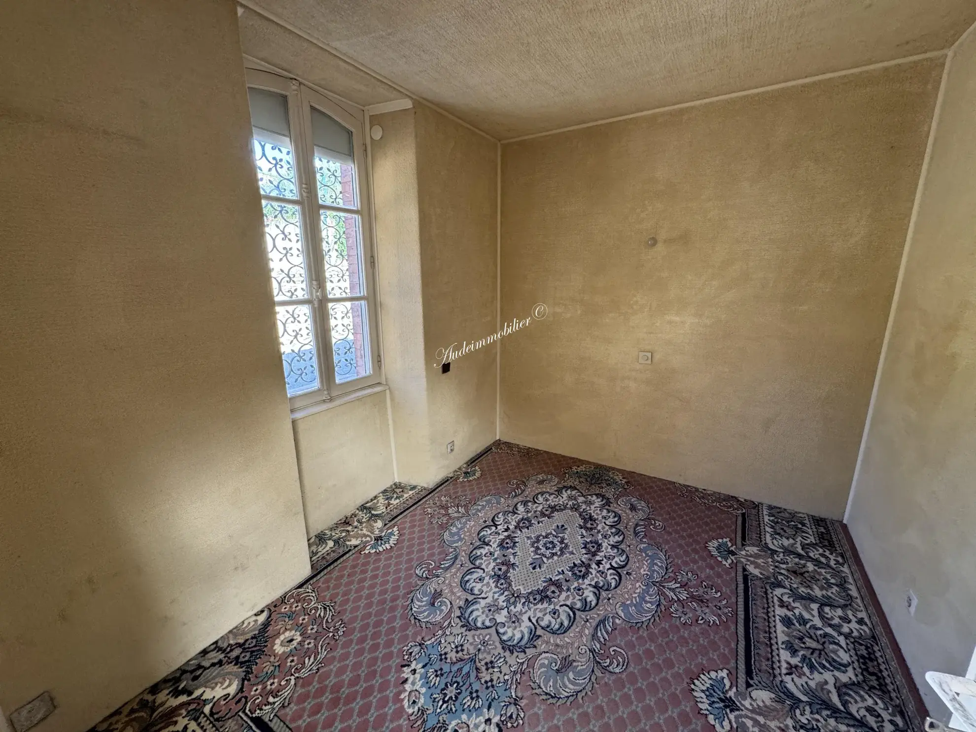 À vendre : Ensemble de deux maisons avec jardins à Couiza 
